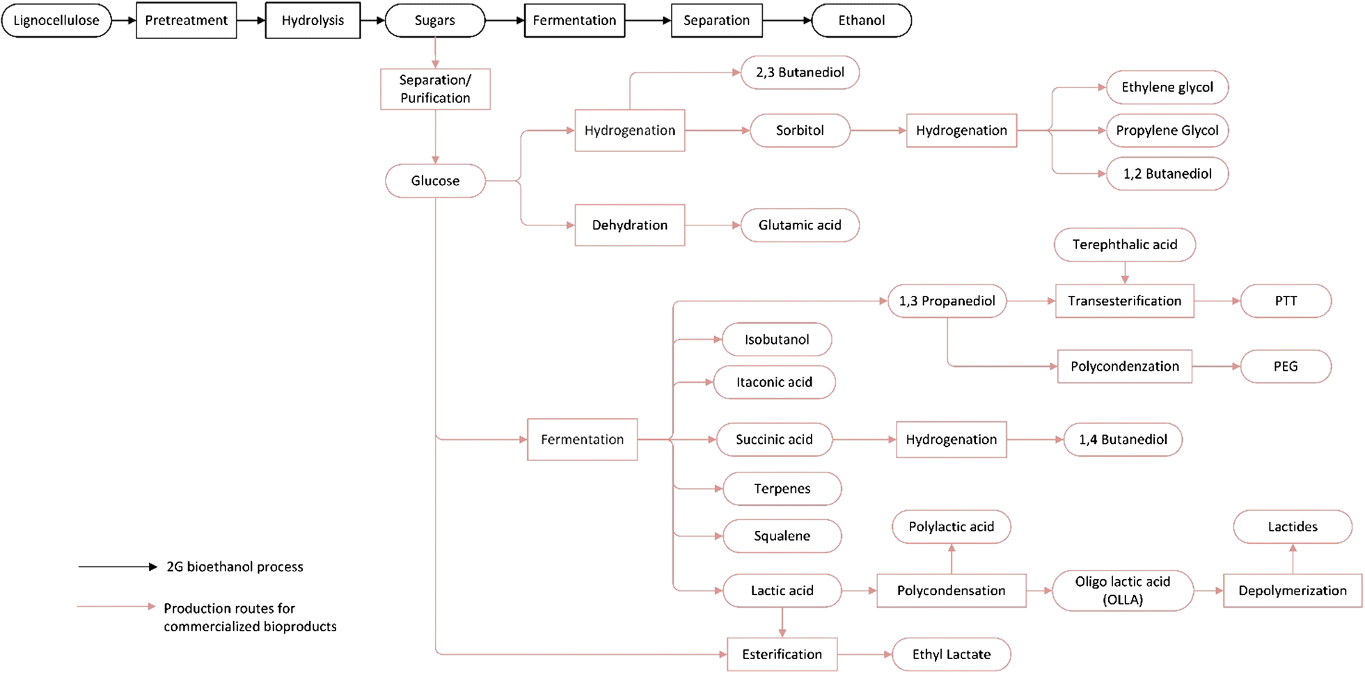 Fig. 2