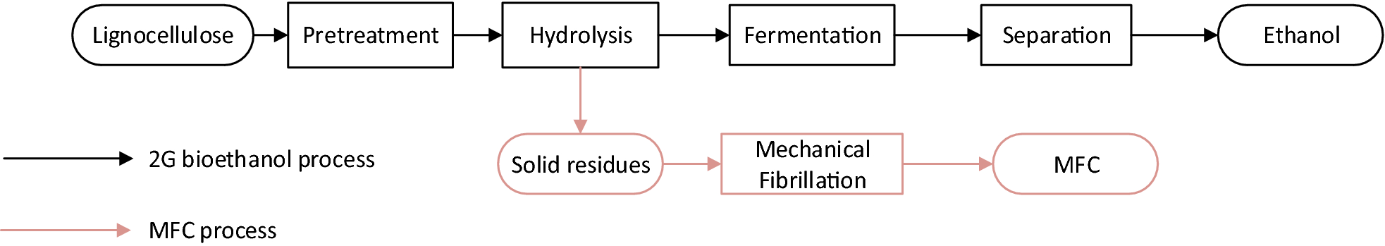 Fig. 5