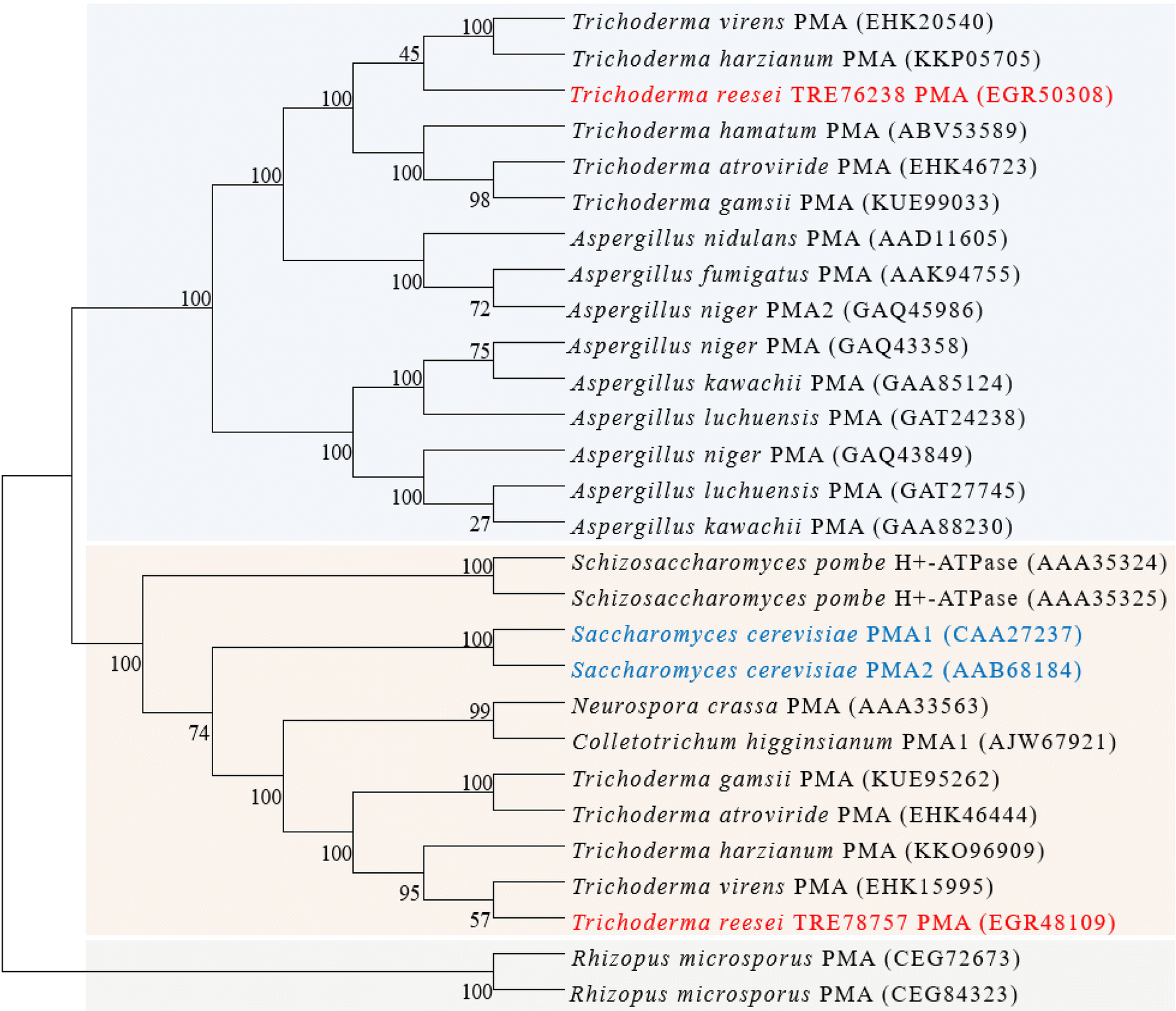 Fig. 1