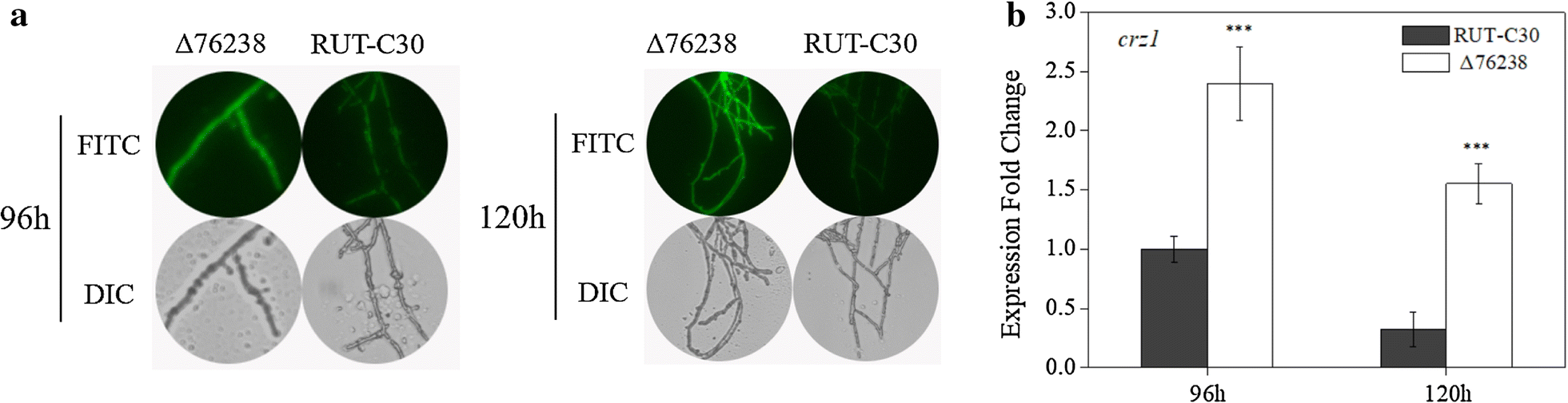 Fig. 6