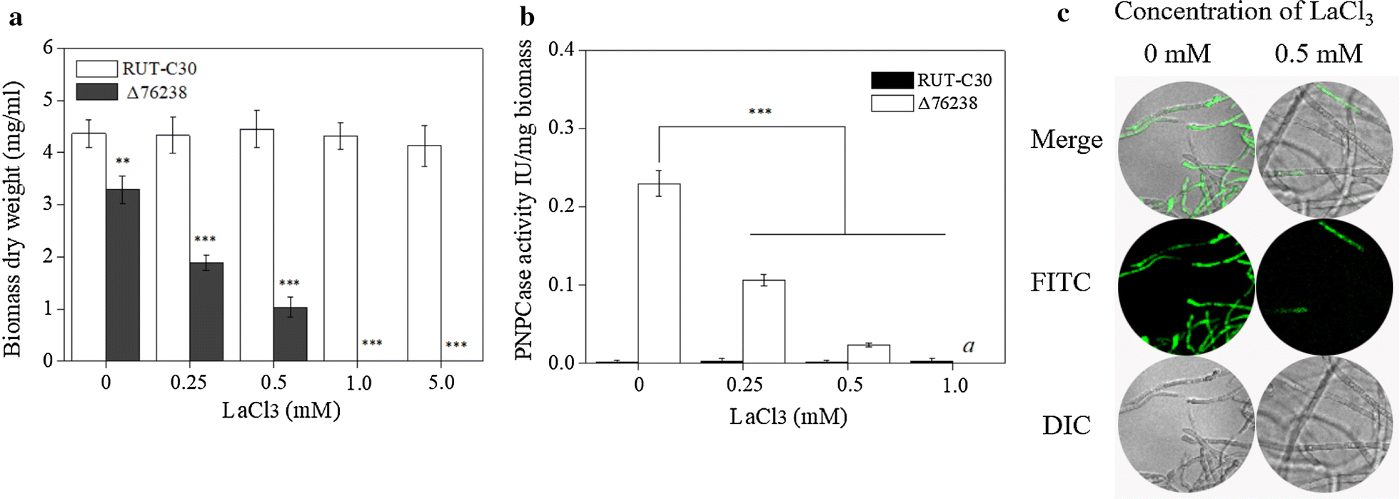 Fig. 7