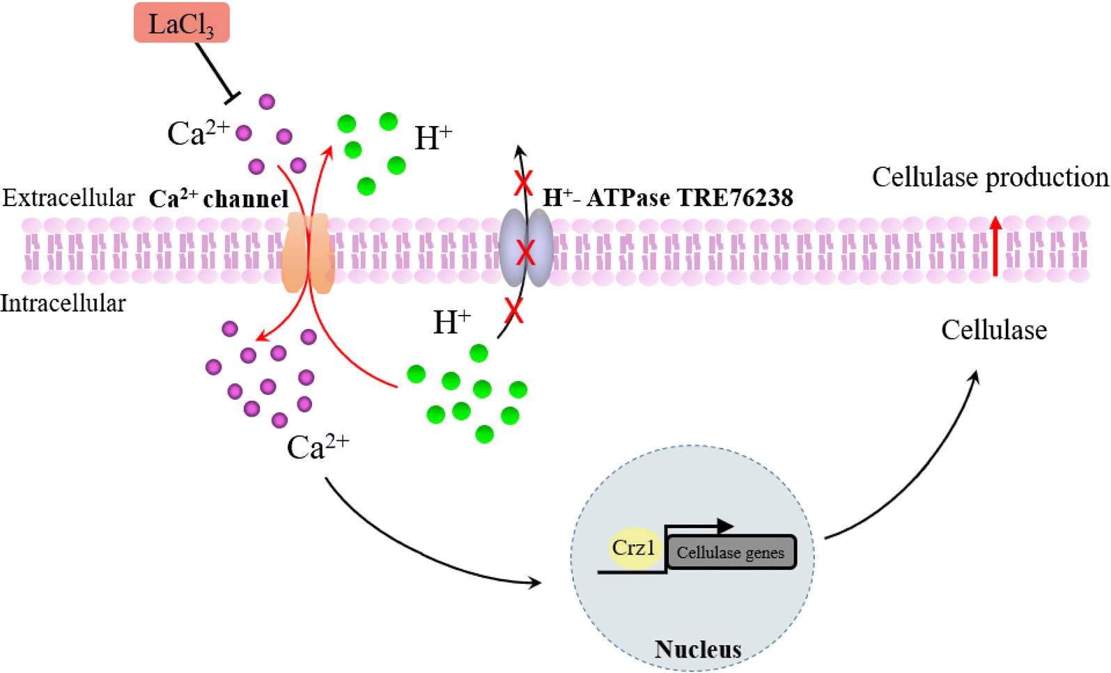 Fig. 9