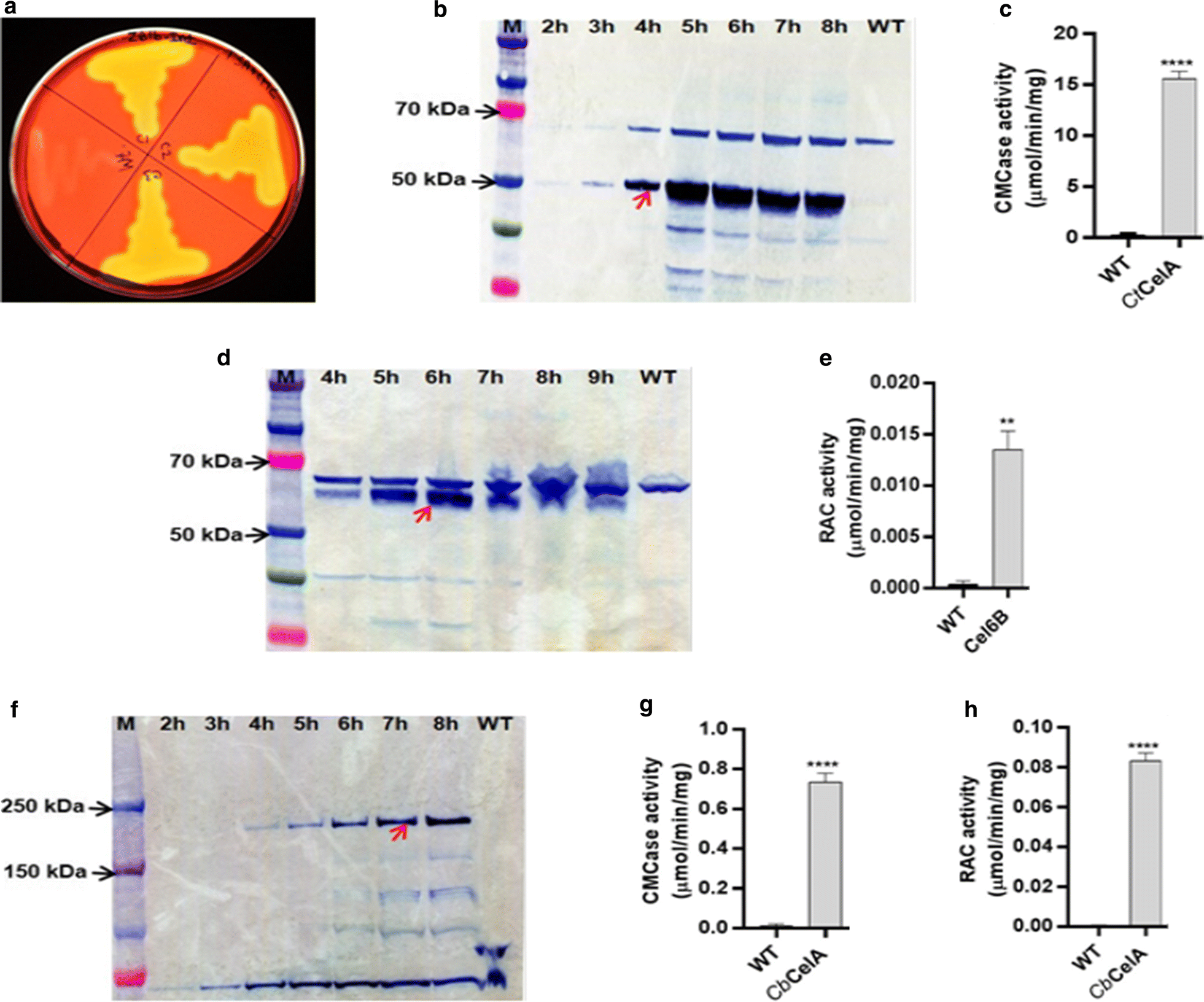 Fig. 2