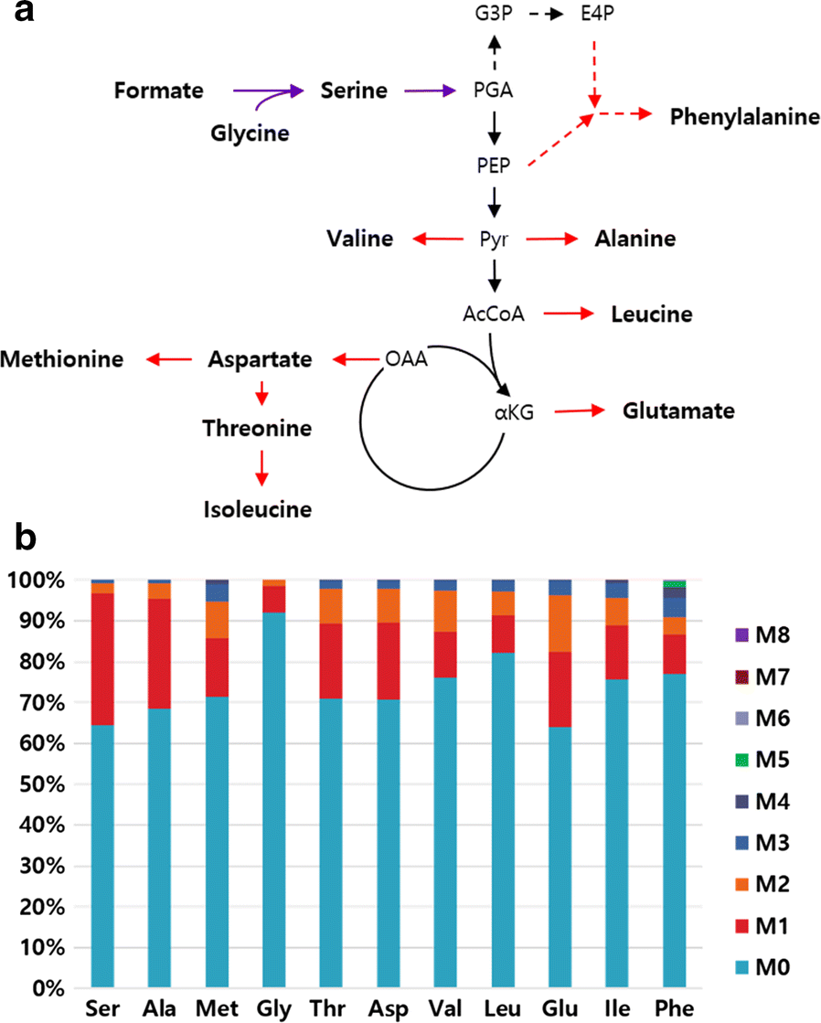 Fig. 3