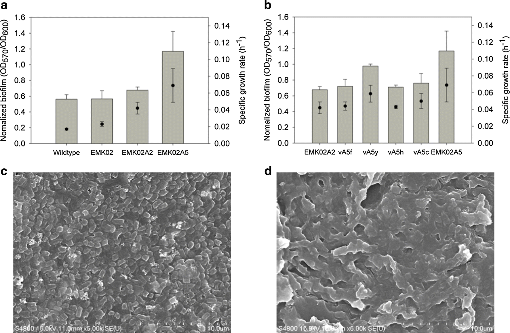 Fig. 6