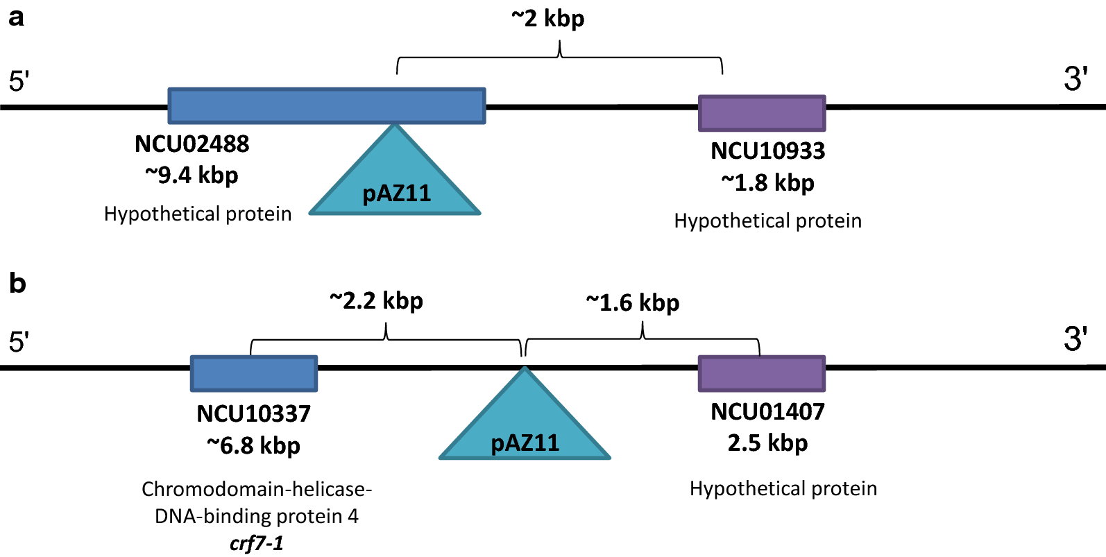 Fig. 6