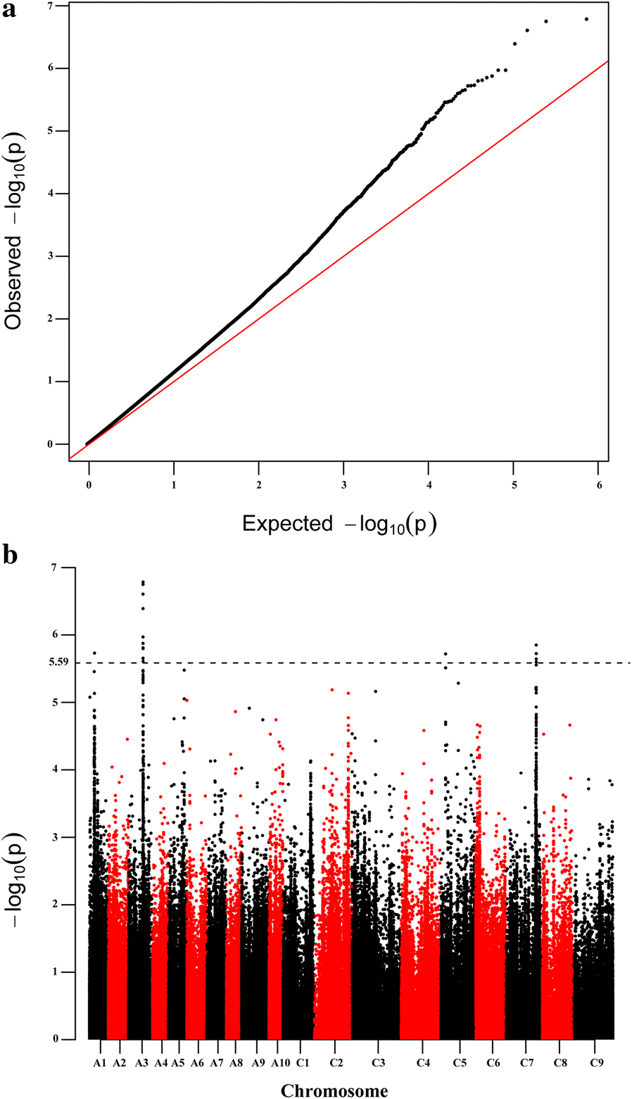 Fig. 2