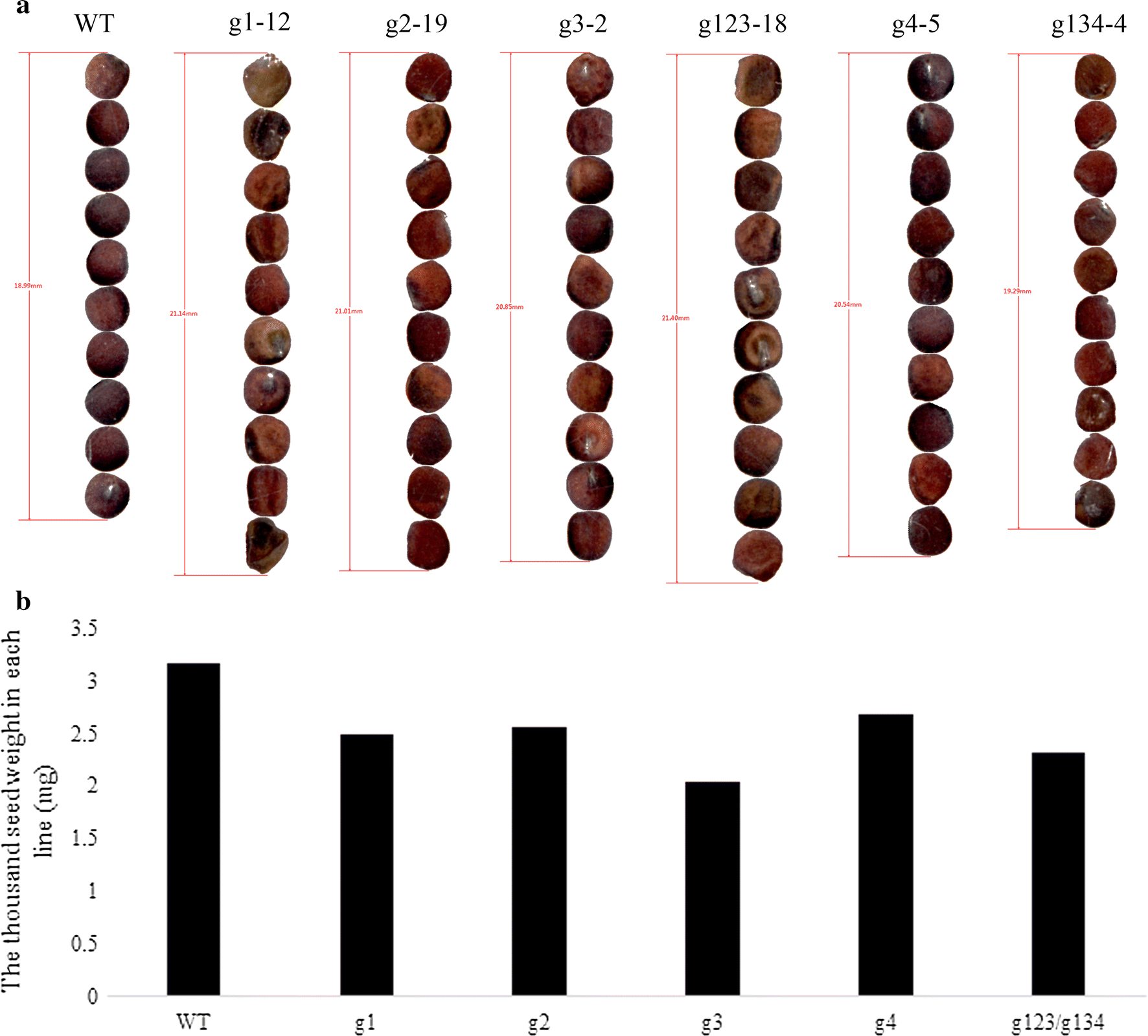 Fig. 5