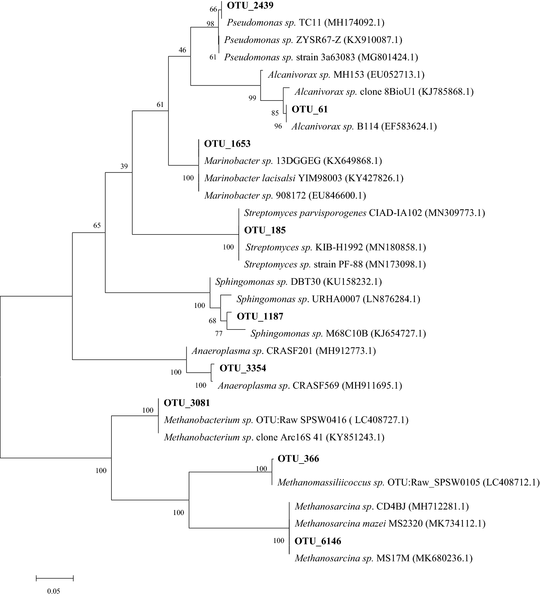 Fig. 5