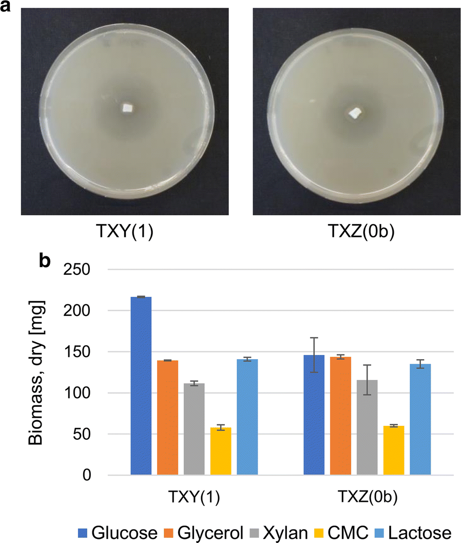 Fig. 10