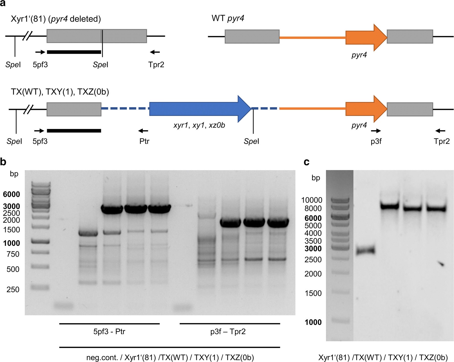 Fig. 3