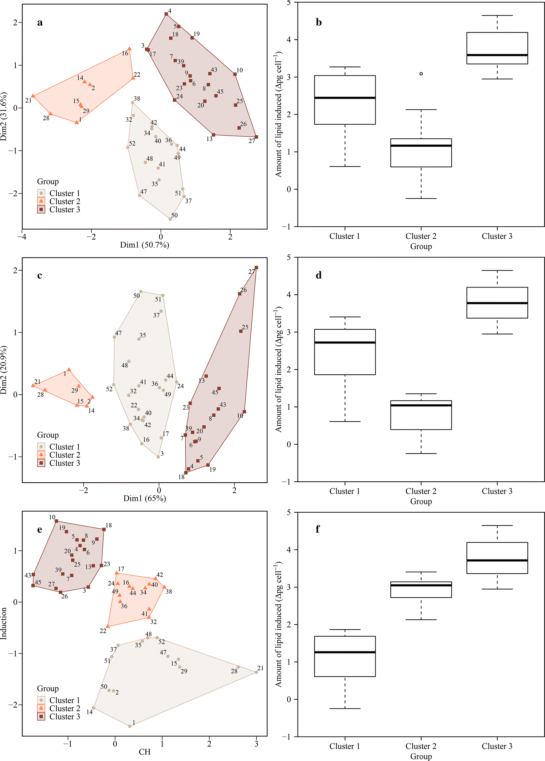 Fig. 5