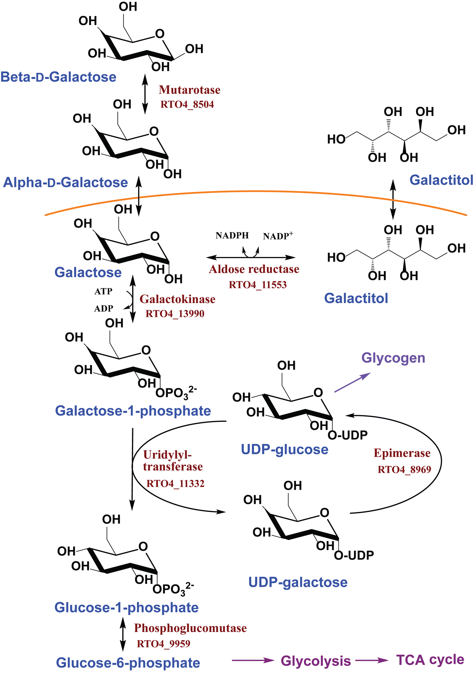 Fig. 5