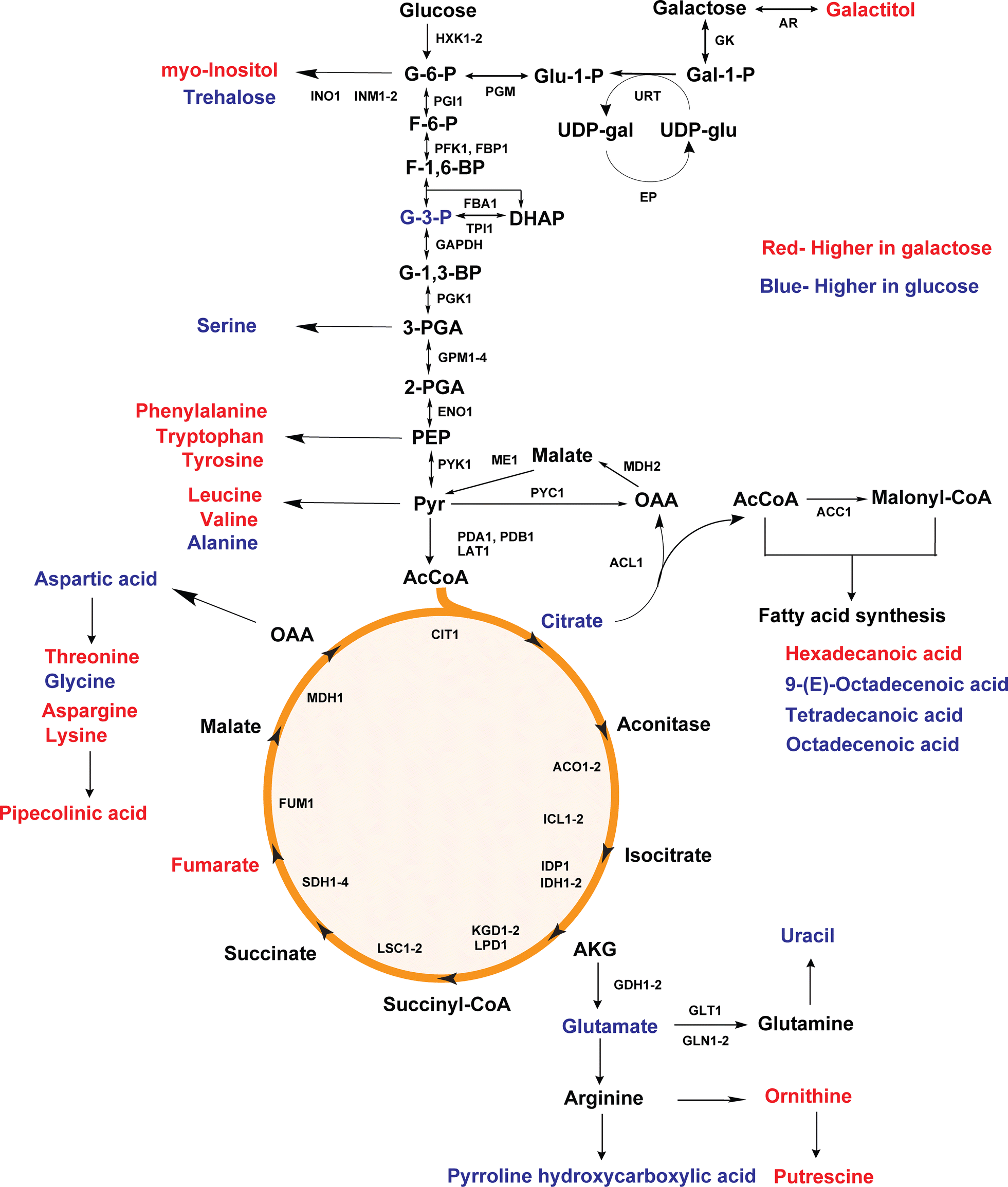 Fig. 8