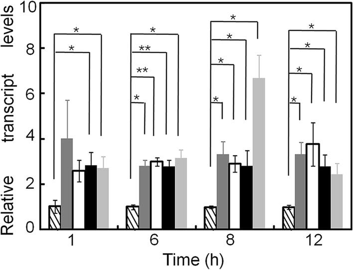 Fig. 3