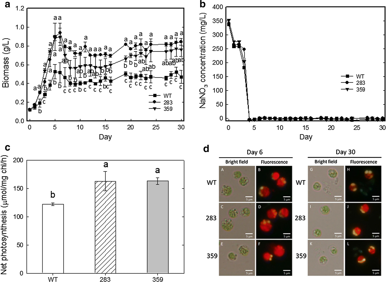 Fig. 4