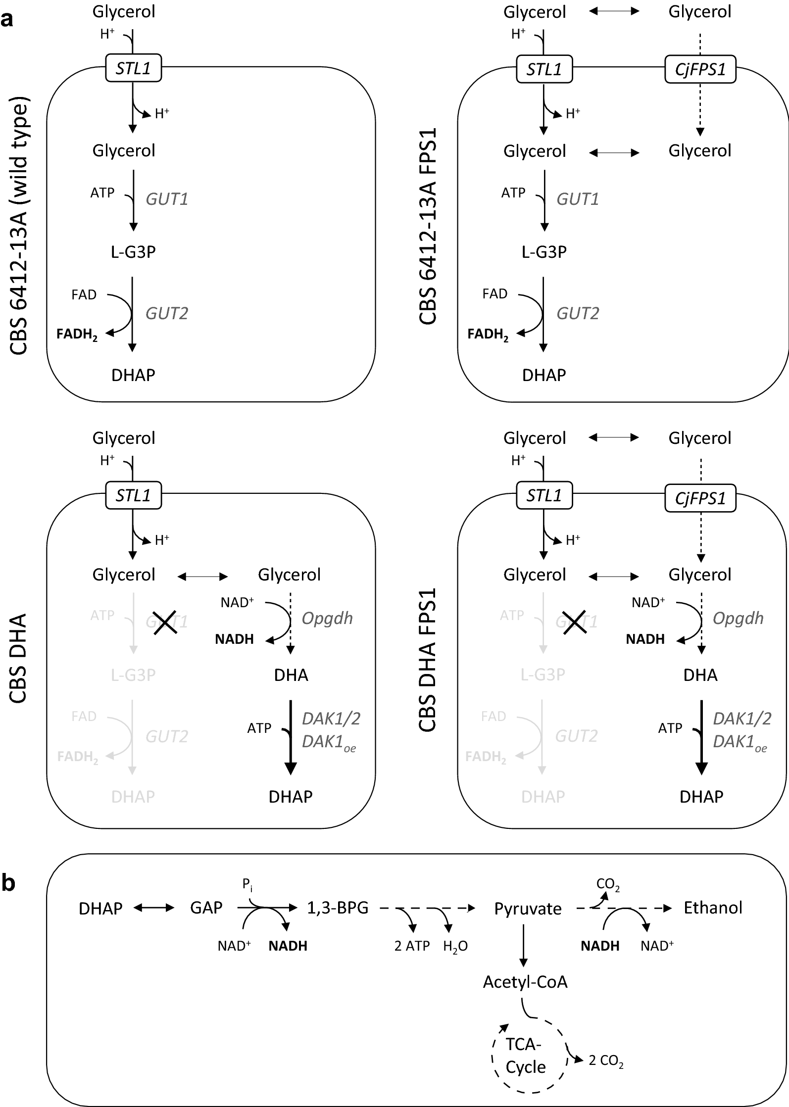 Fig. 1