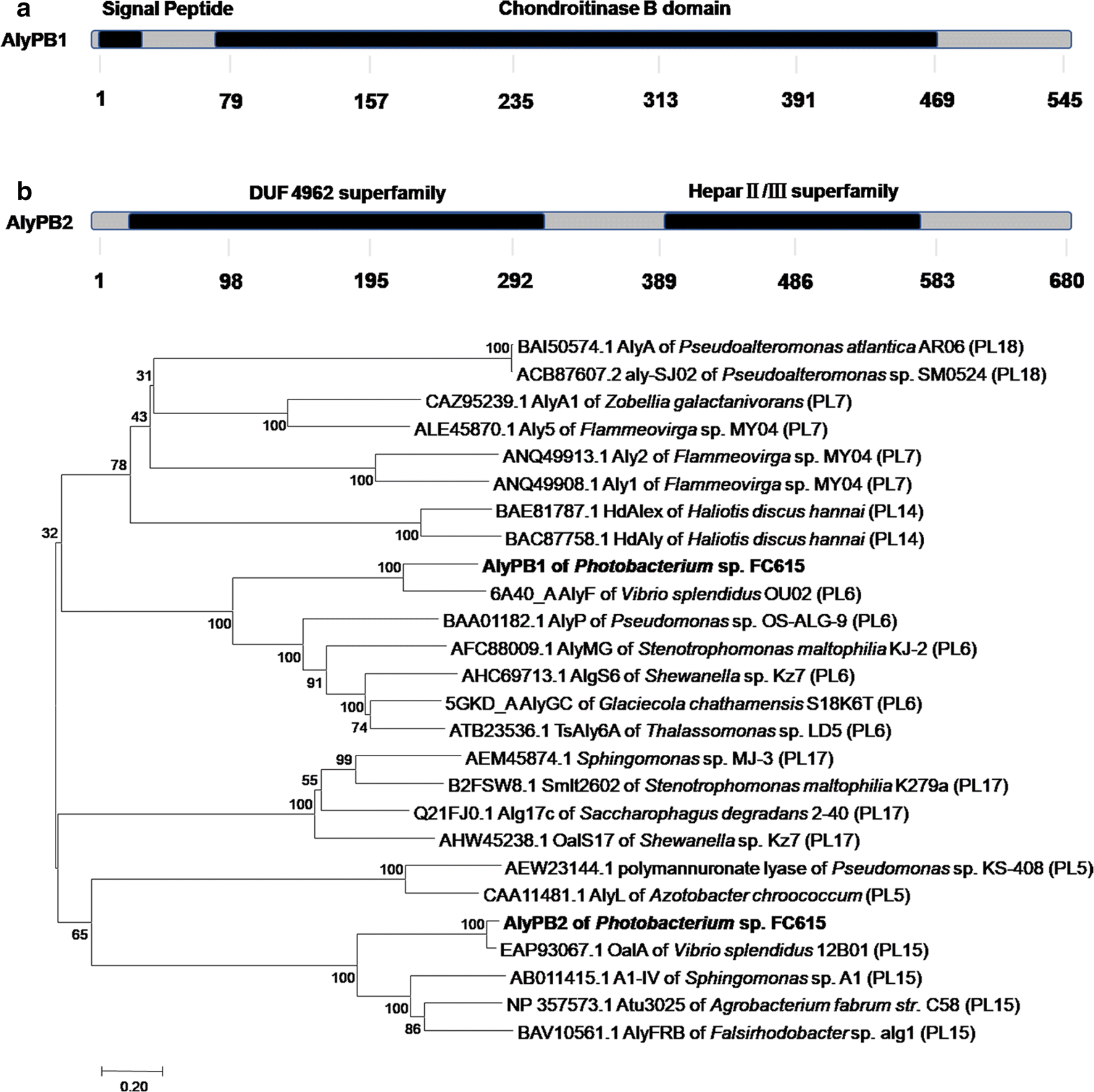 Fig. 1