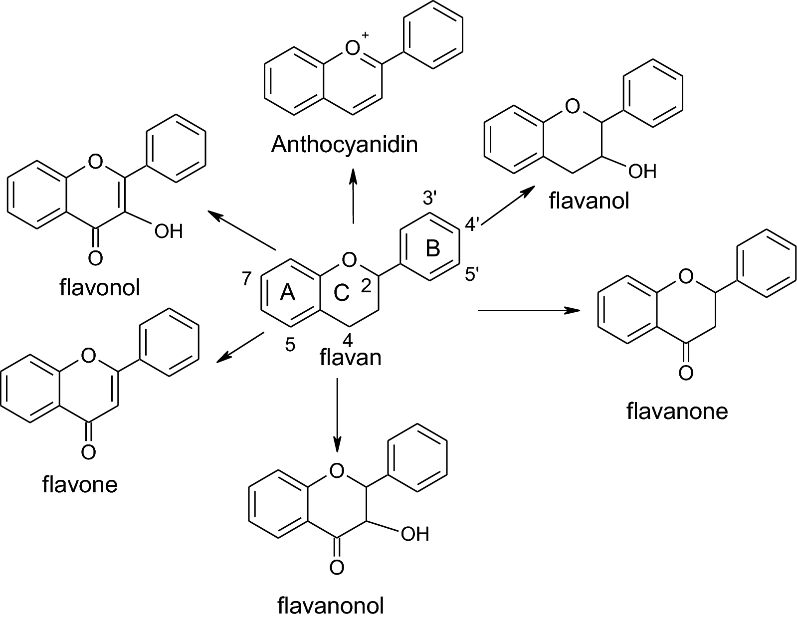 Fig. 6