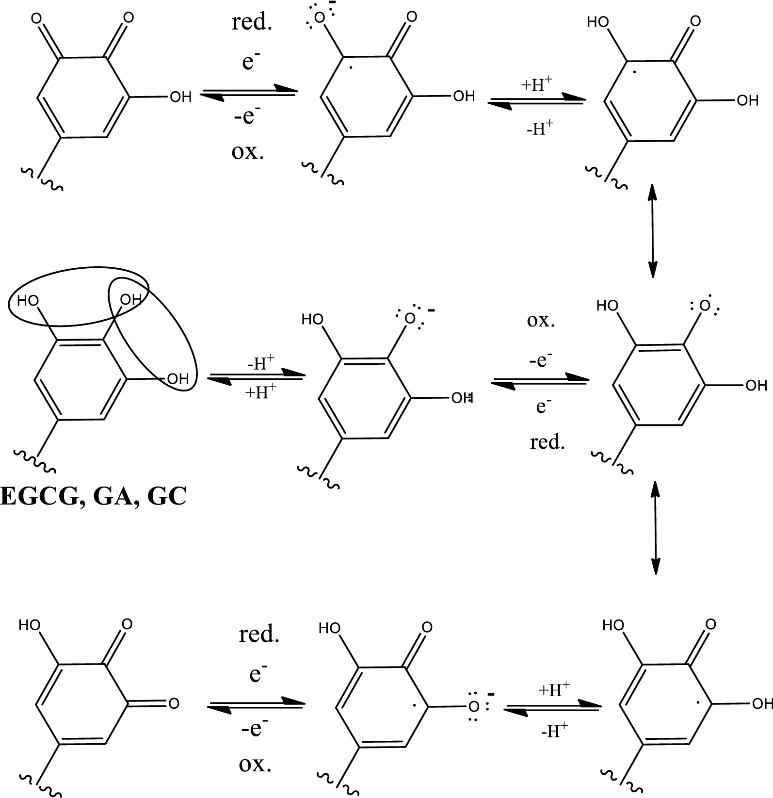 Fig. 7