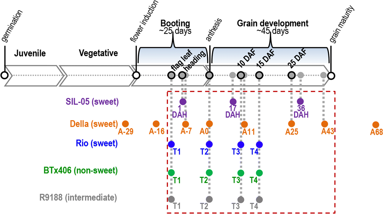 Fig. 1