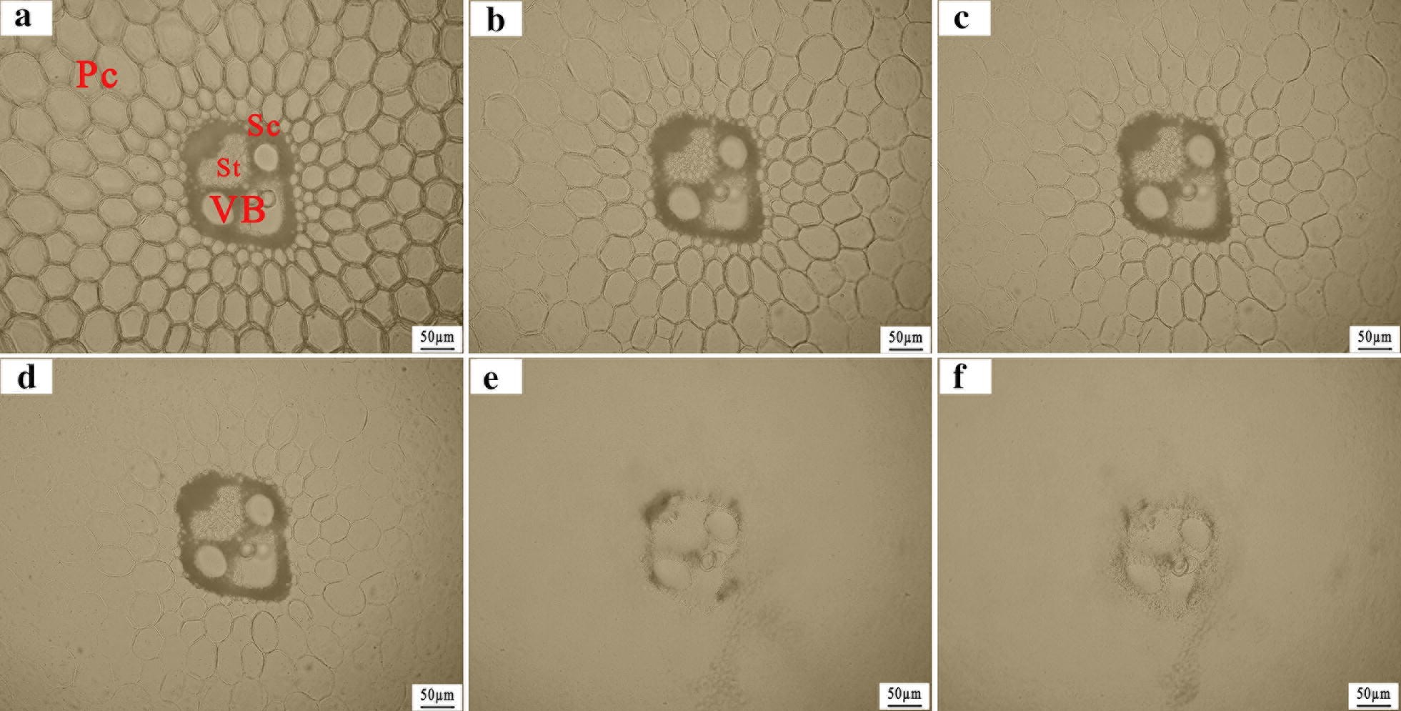 Fig. 4