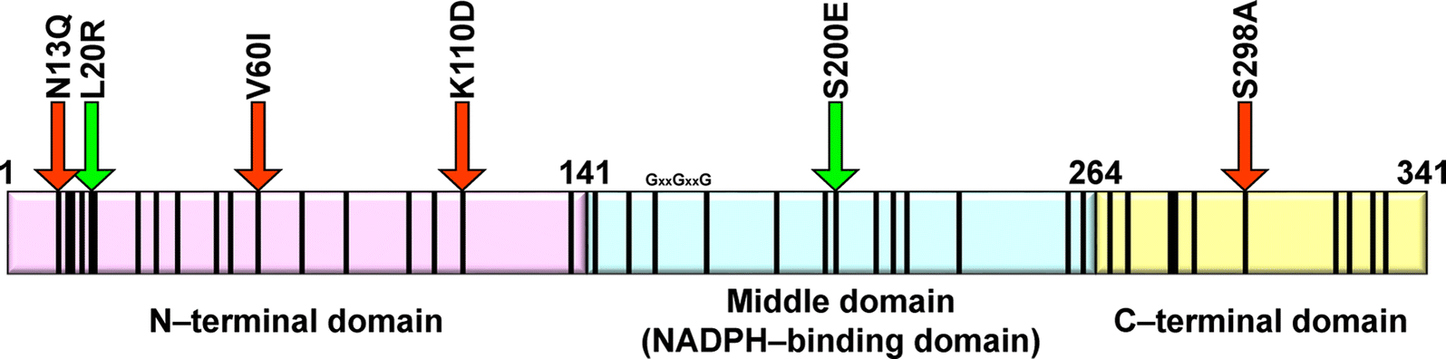 Fig. 6