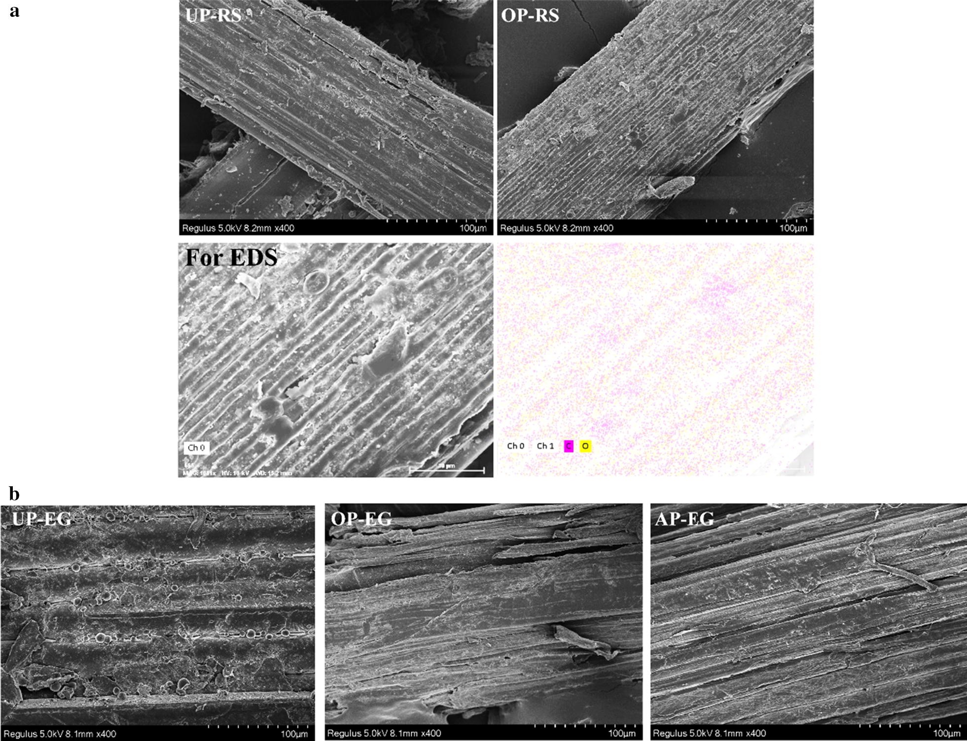 Fig. 4