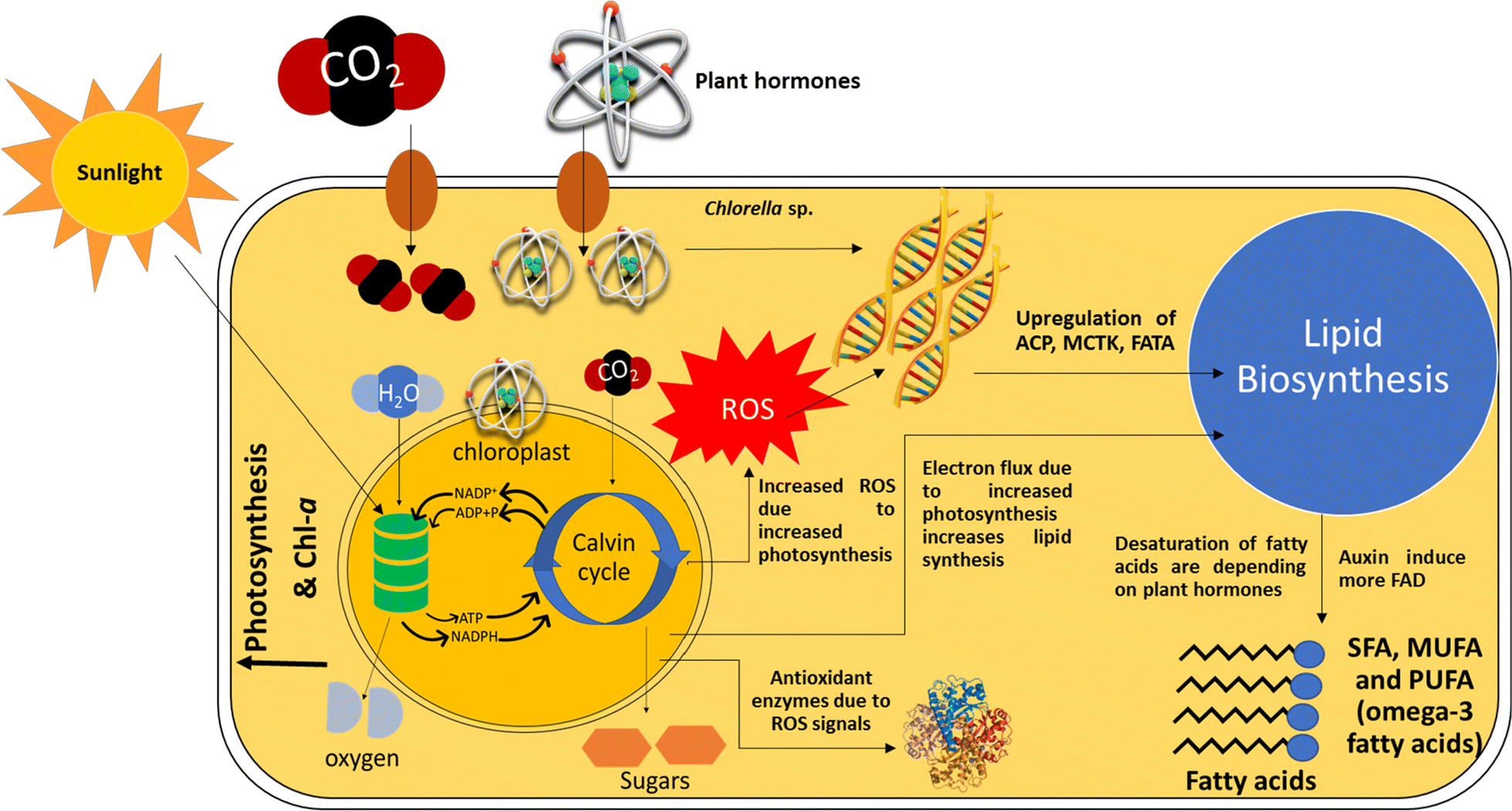 Fig. 6