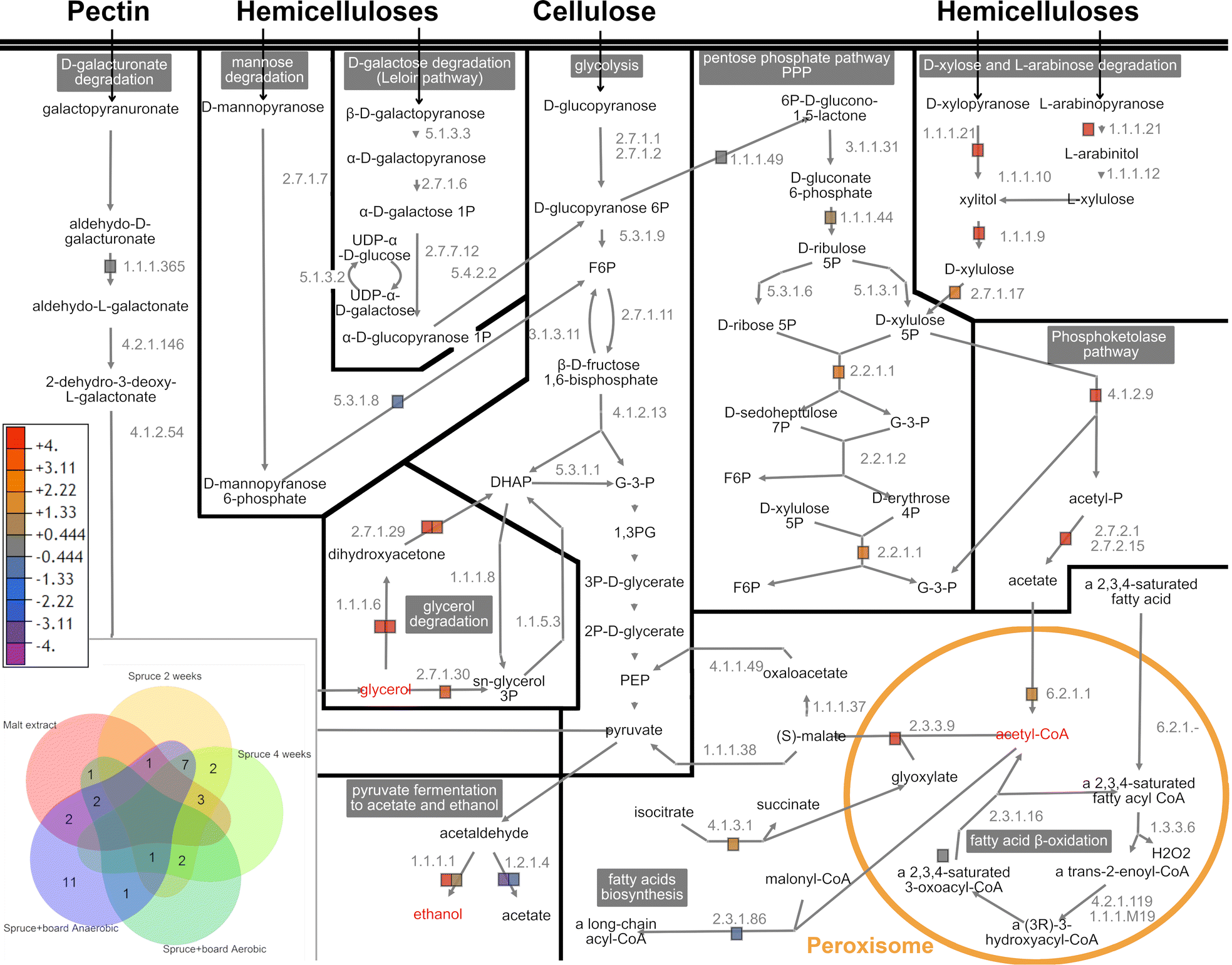 Fig. 5