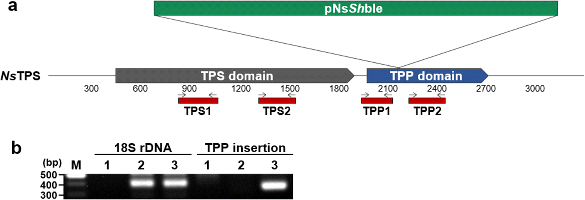 Fig. 4