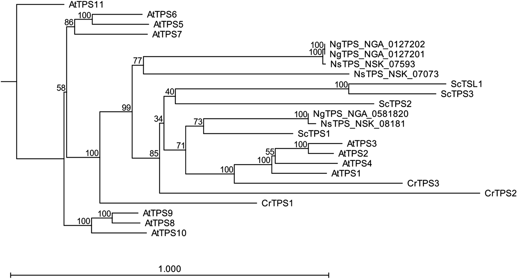 Fig. 7