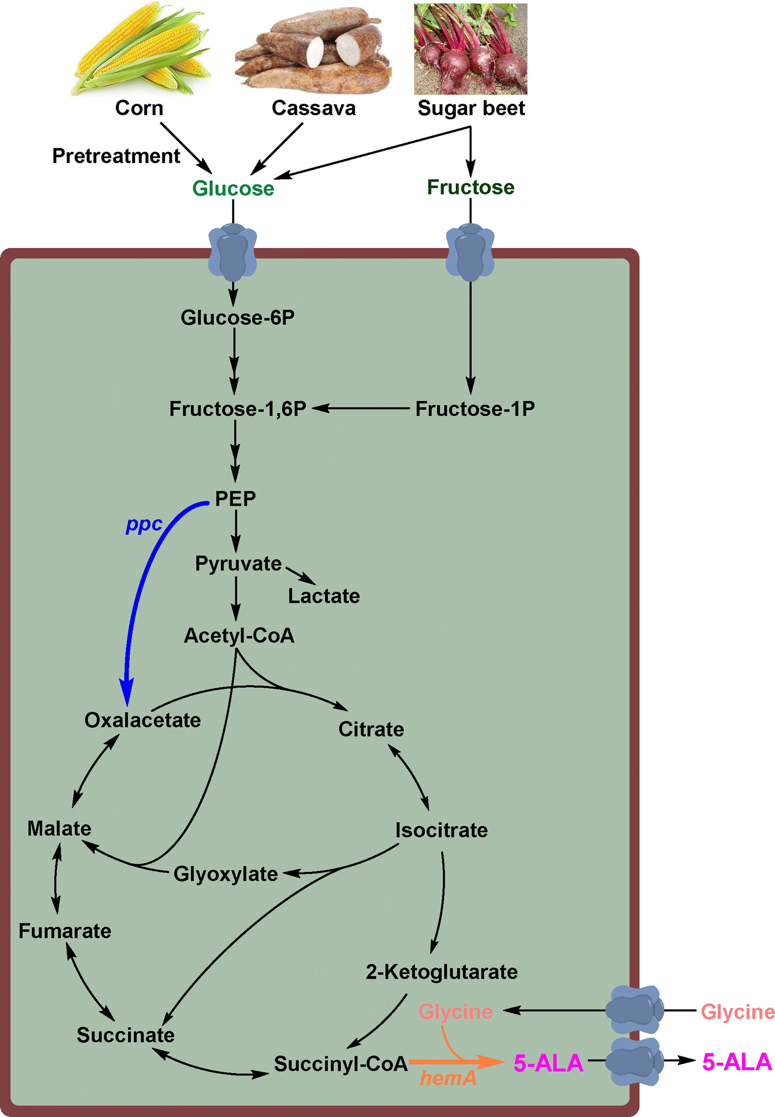 Fig. 1