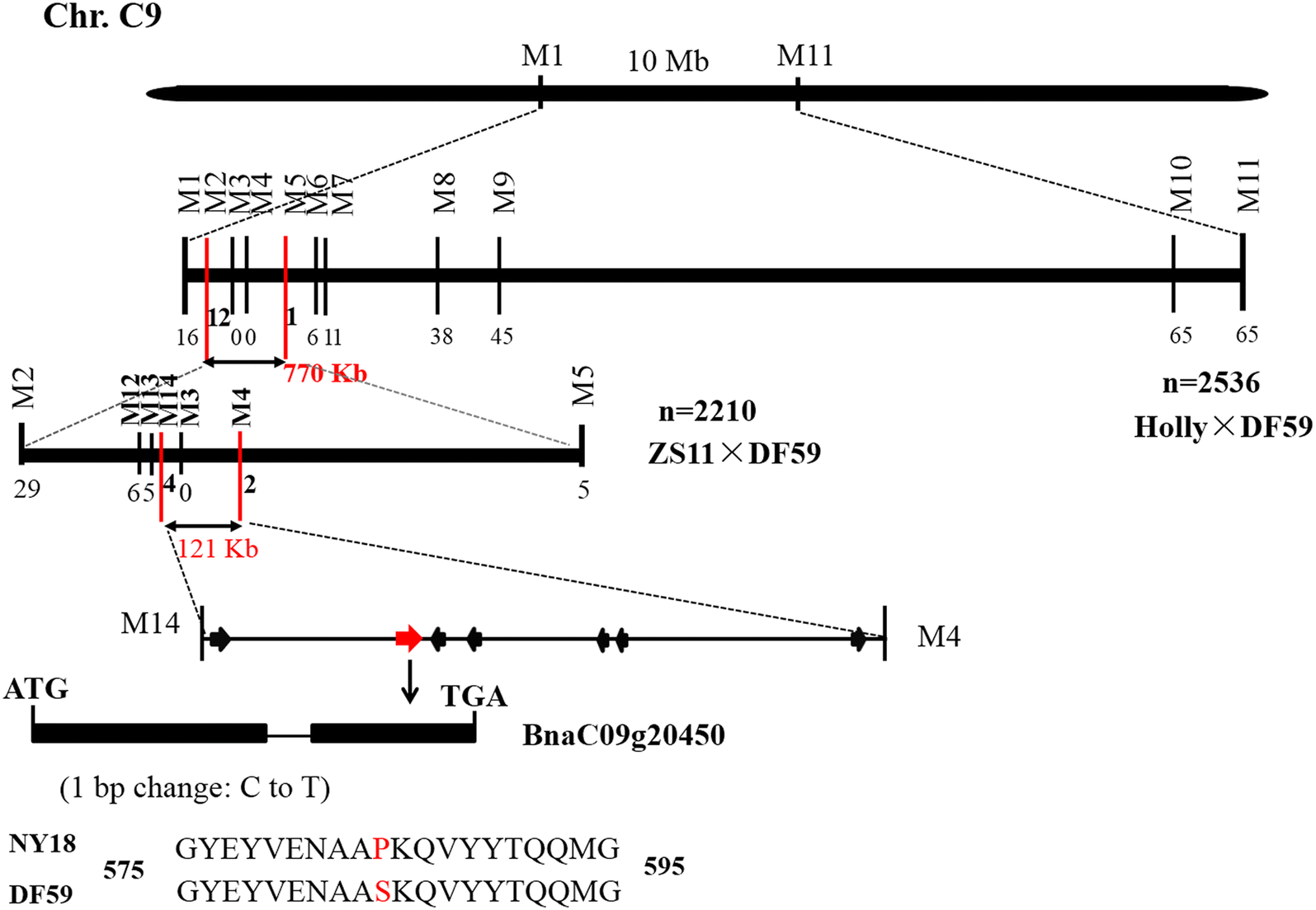 Fig. 3