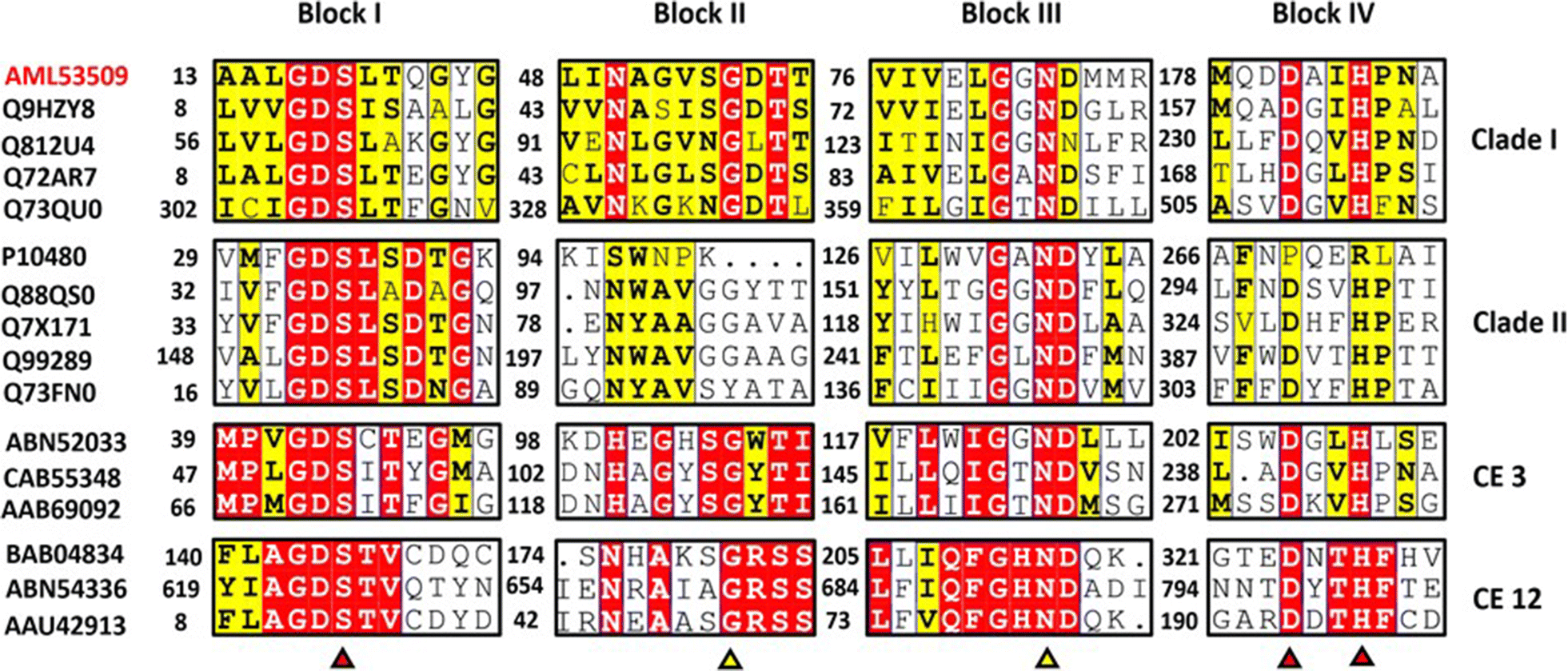 Fig. 3