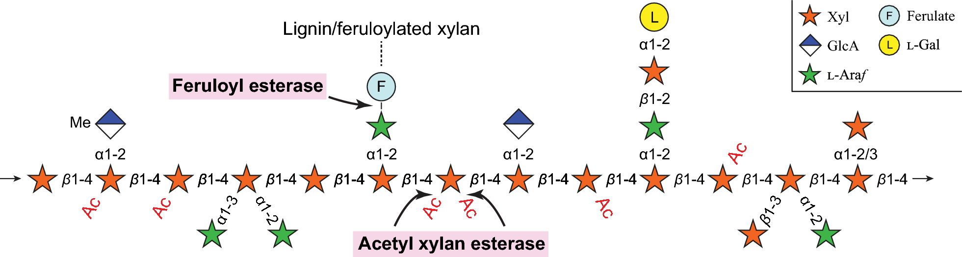 Fig. 1