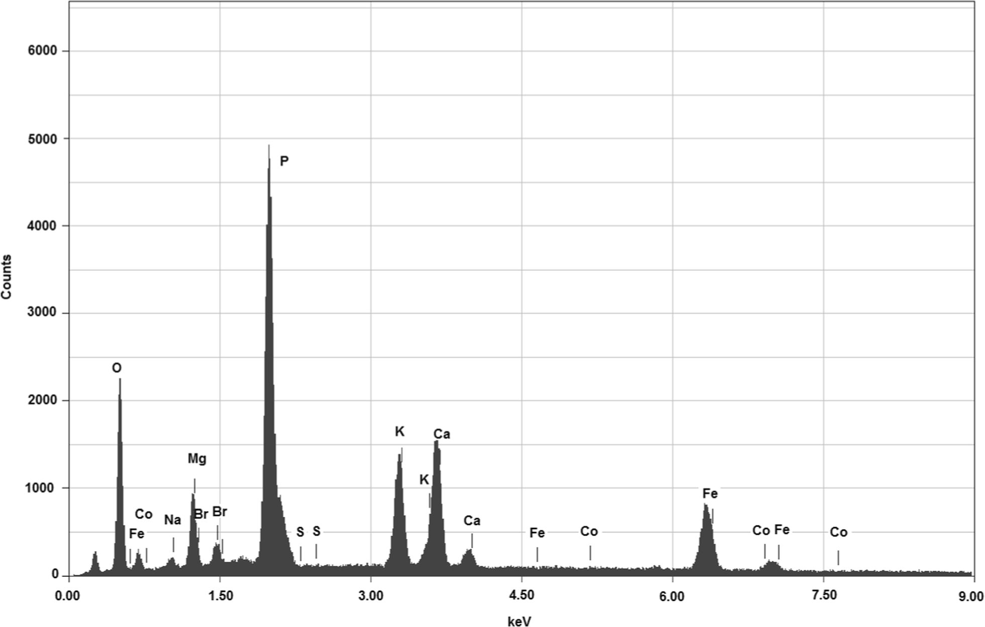 Fig. 3