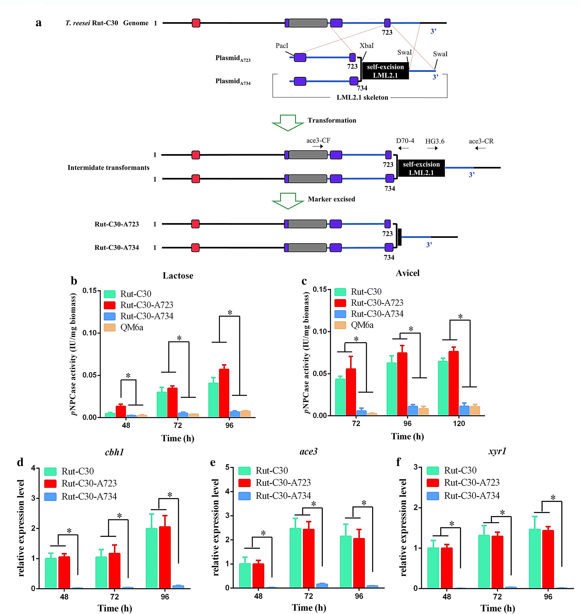 Fig. 2