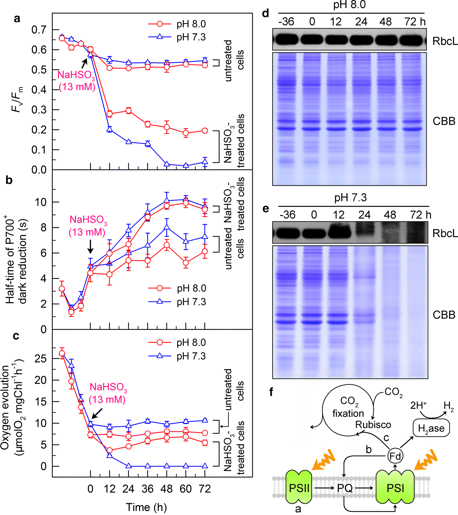 Fig. 3