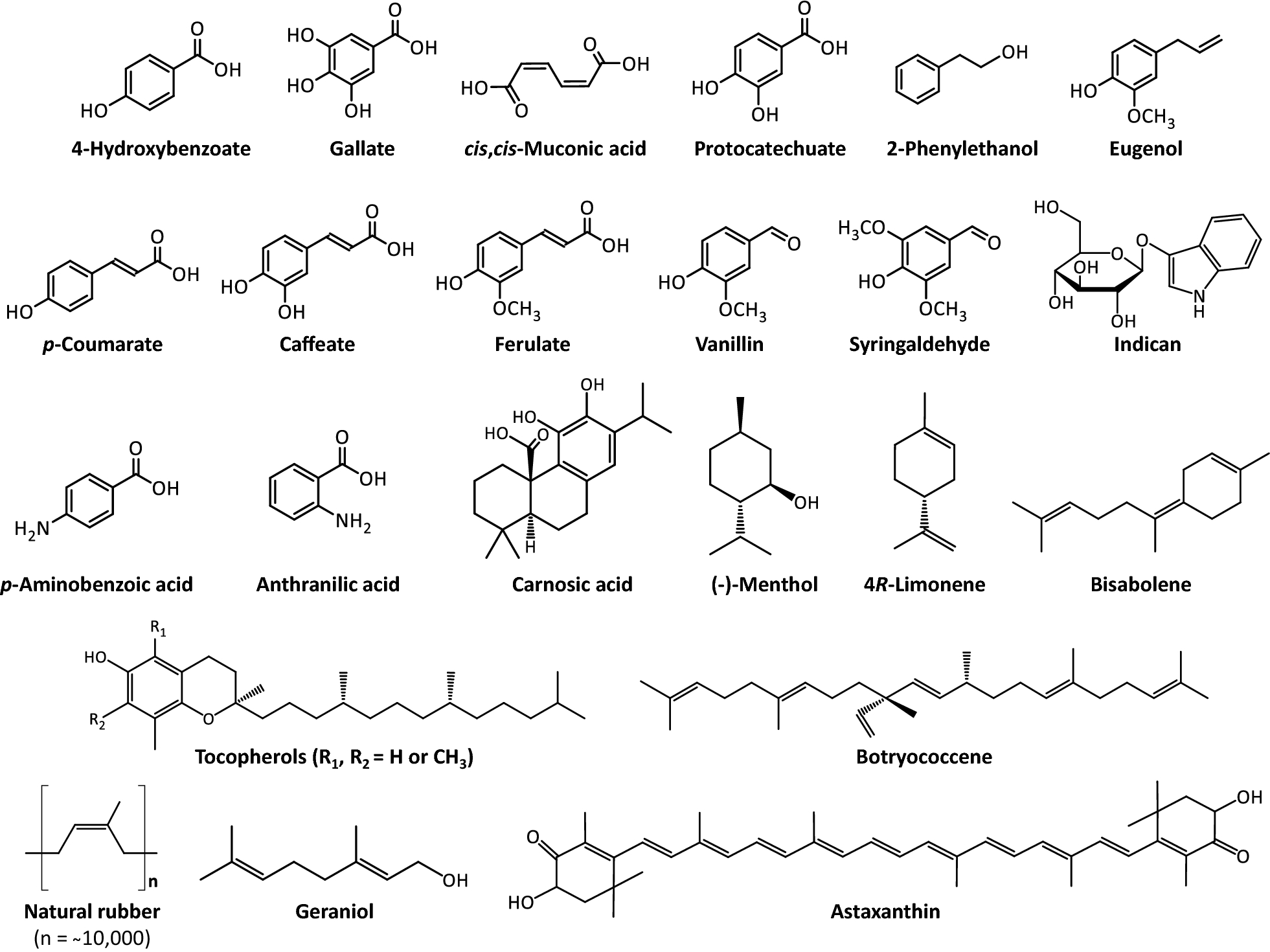 Fig. 1