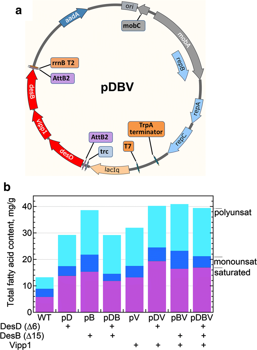 Fig. 2