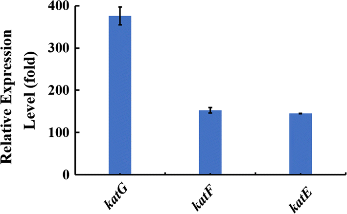 Fig. 7