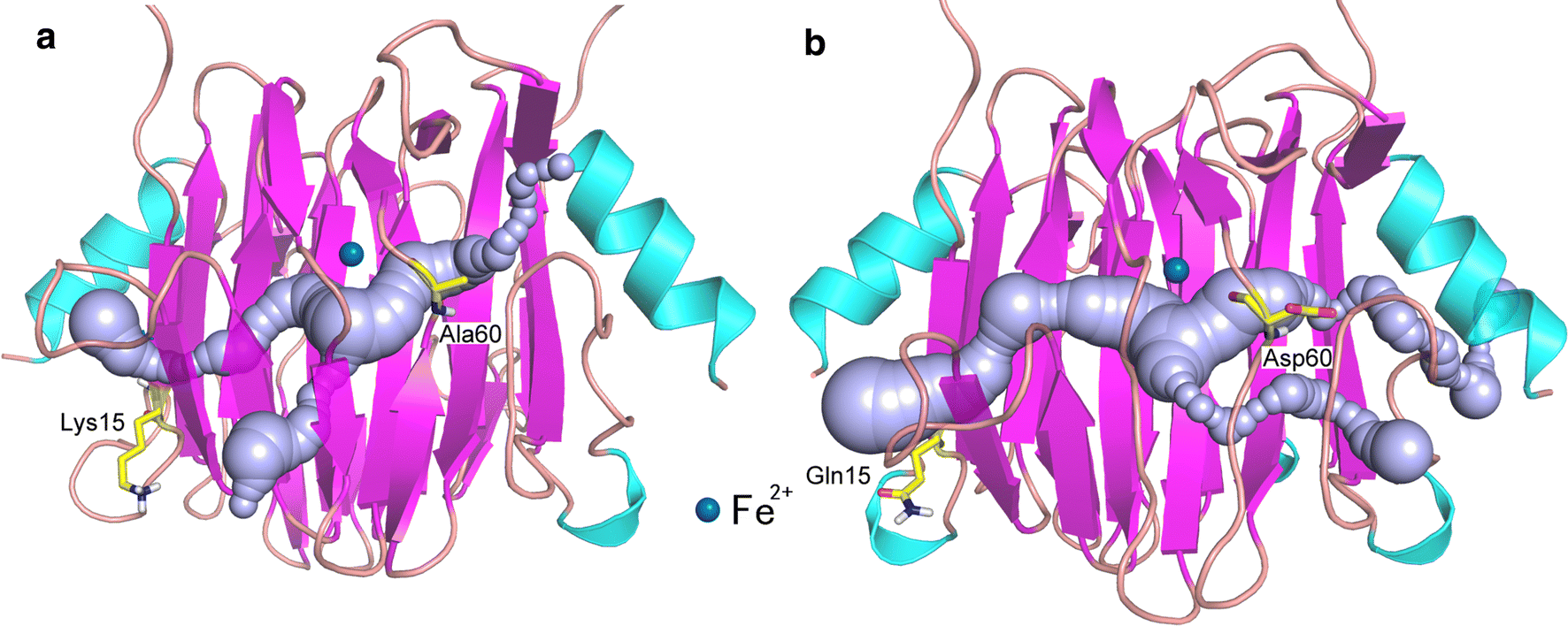 Fig. 5