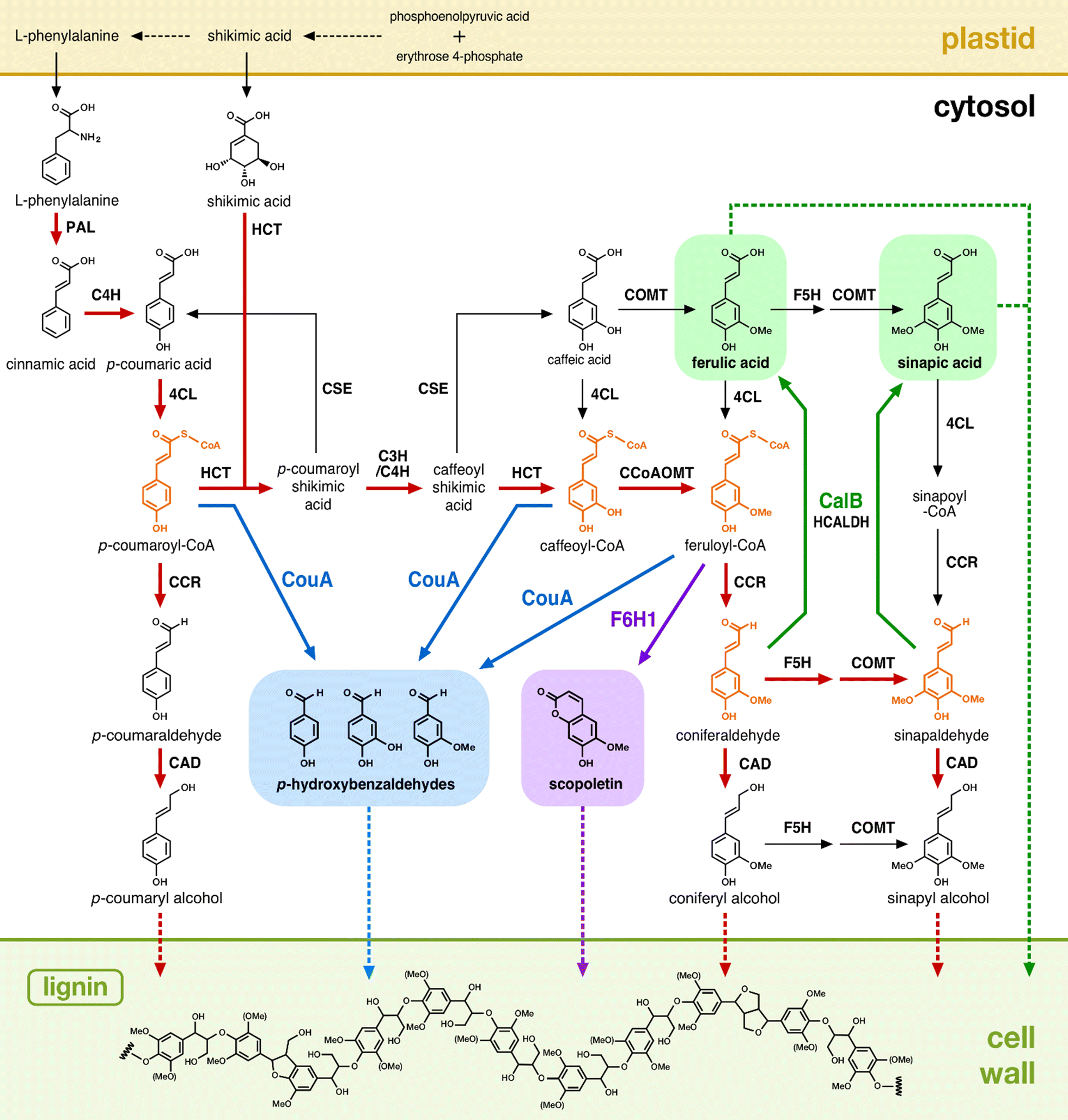 Fig. 1