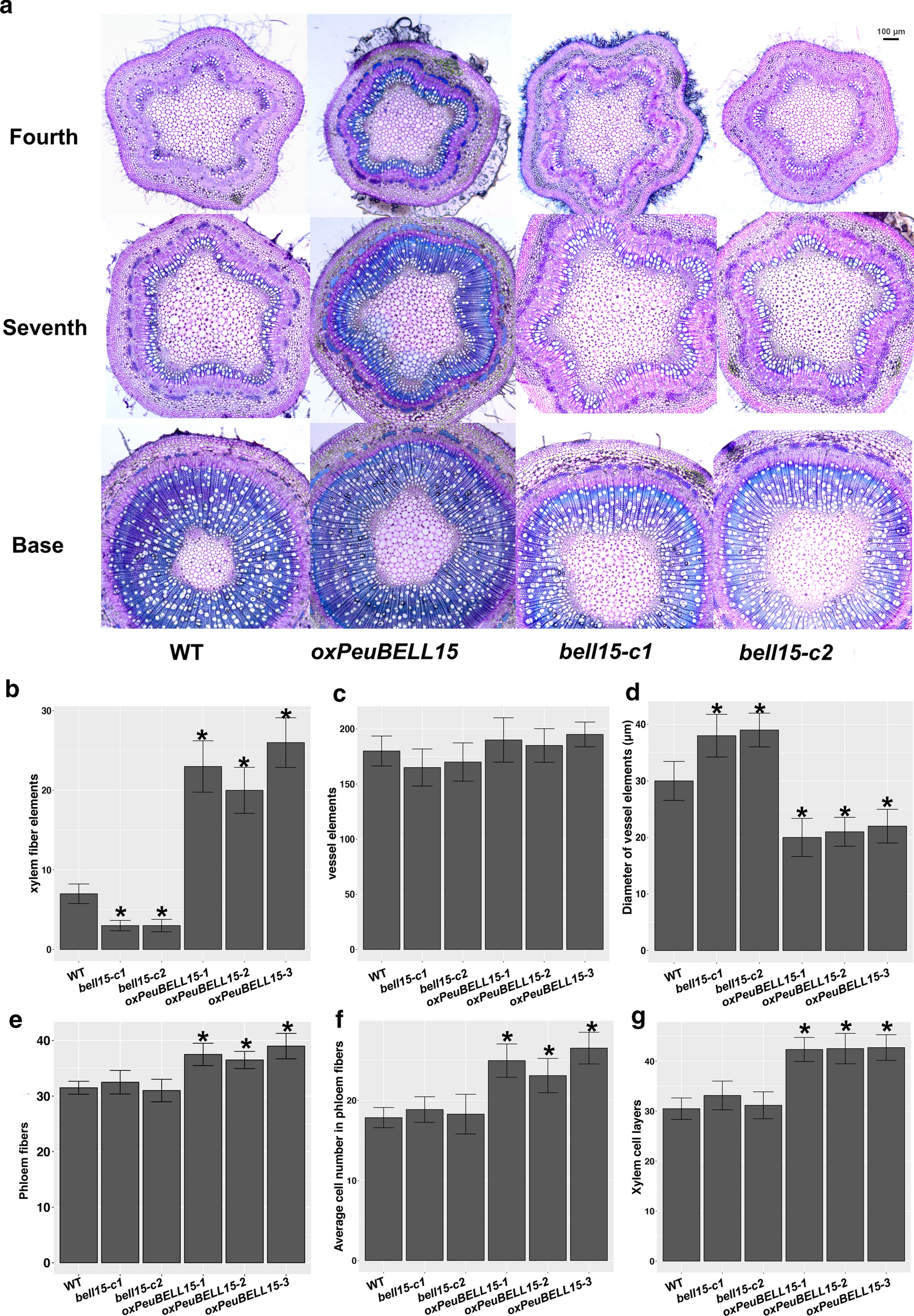 Fig. 6