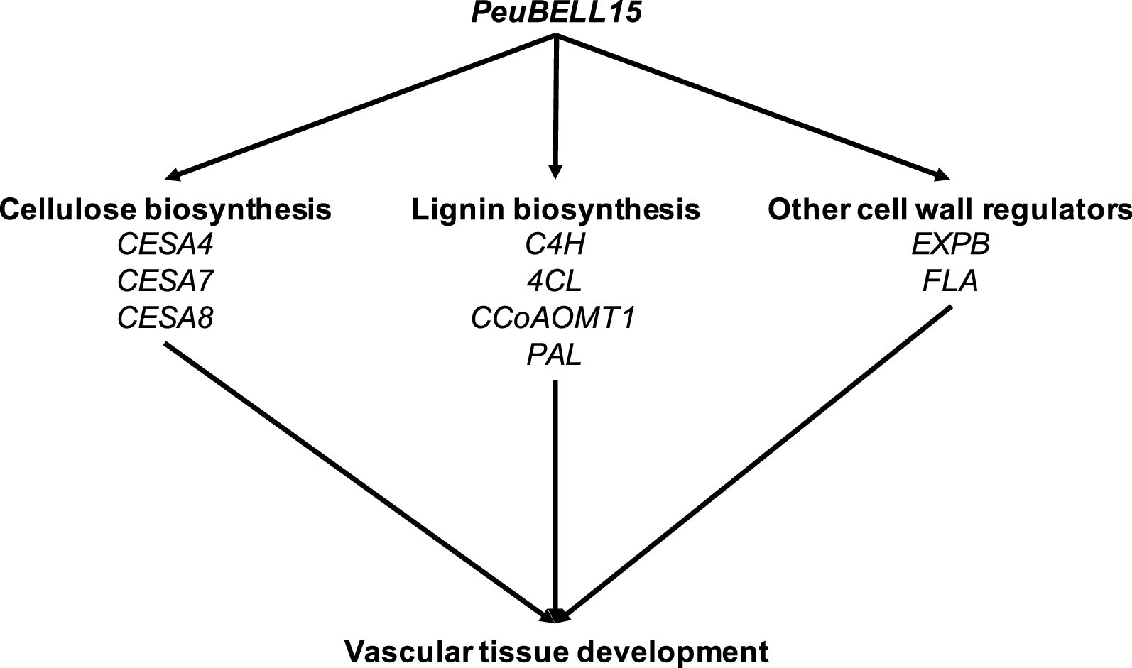 Fig. 8