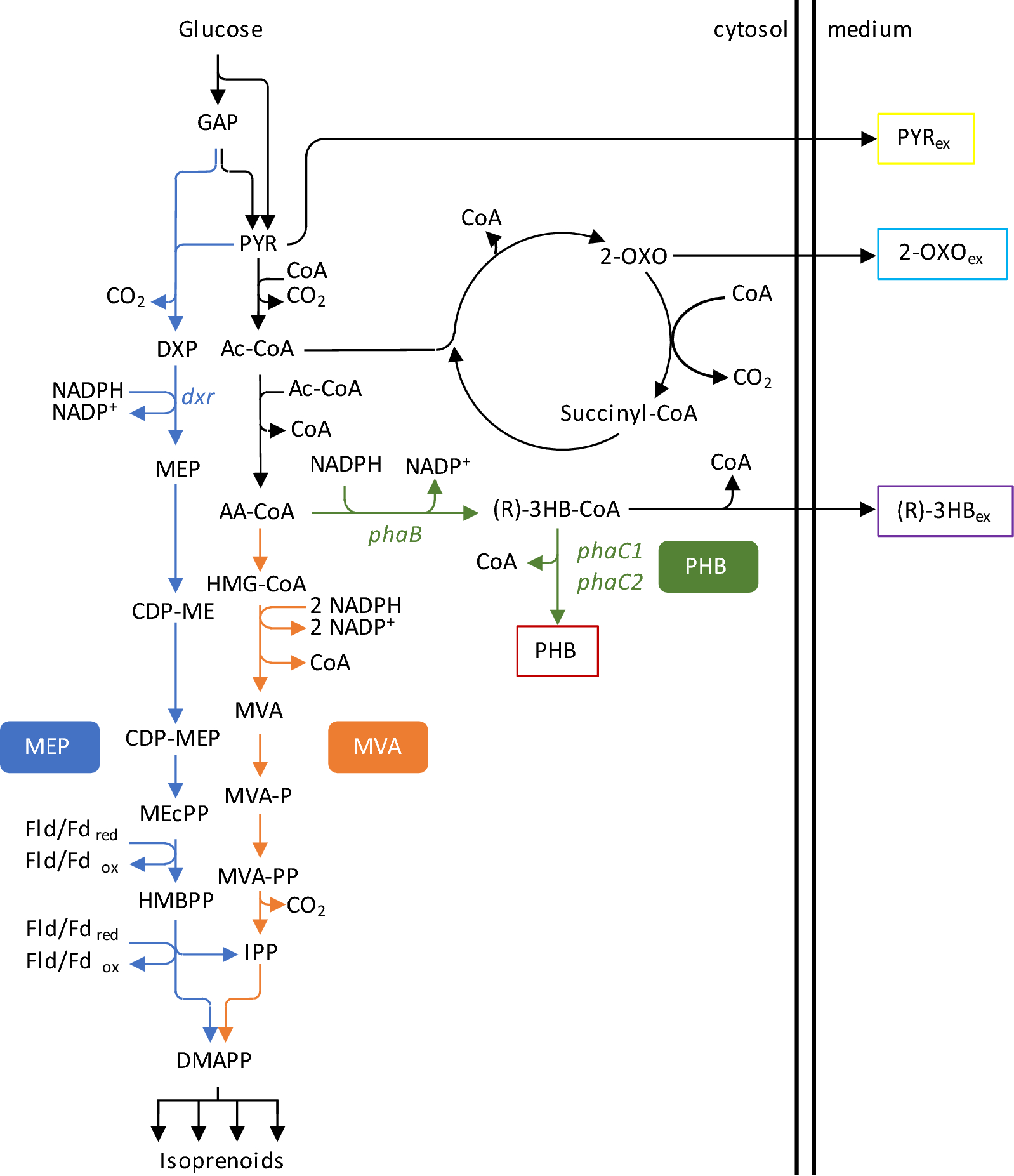 Fig. 1