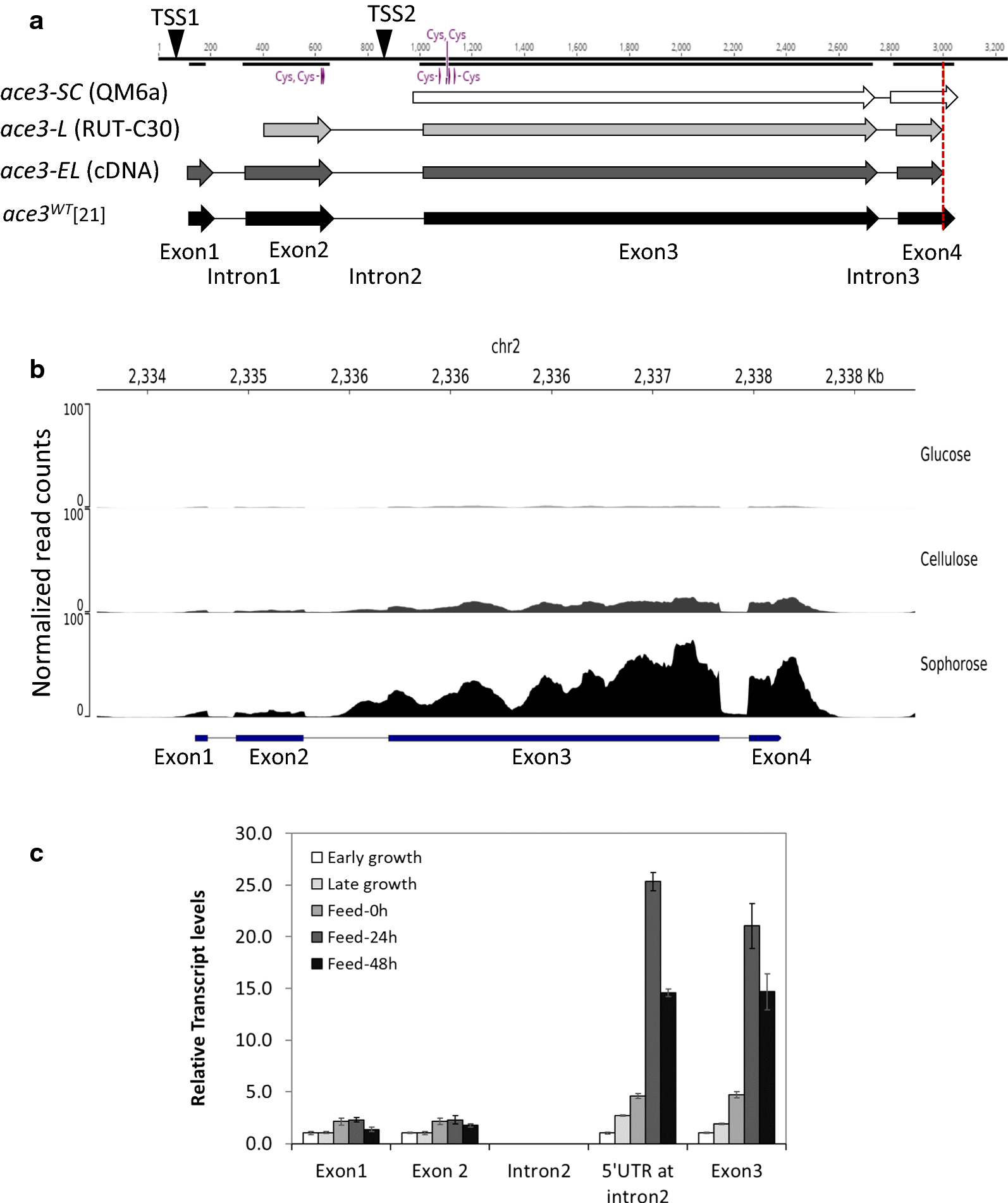 Fig. 1