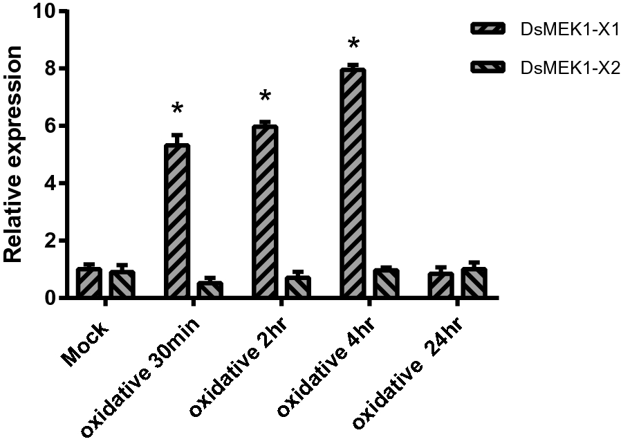 Fig. 7