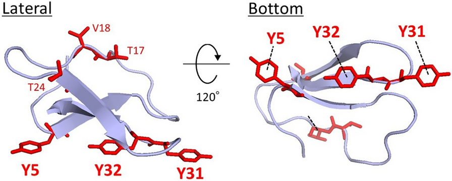 Fig. 1